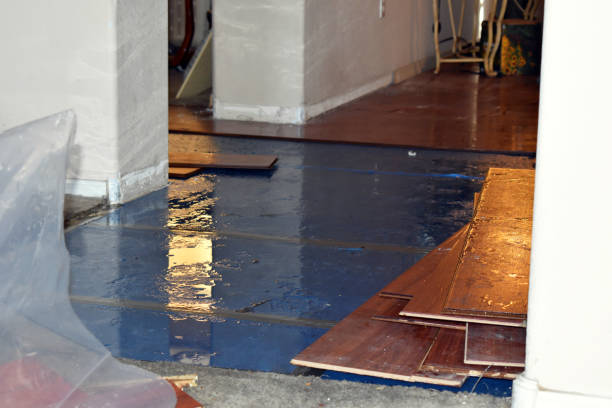 Professional Basement Flood Cleanup technician working in Bucoda, WA